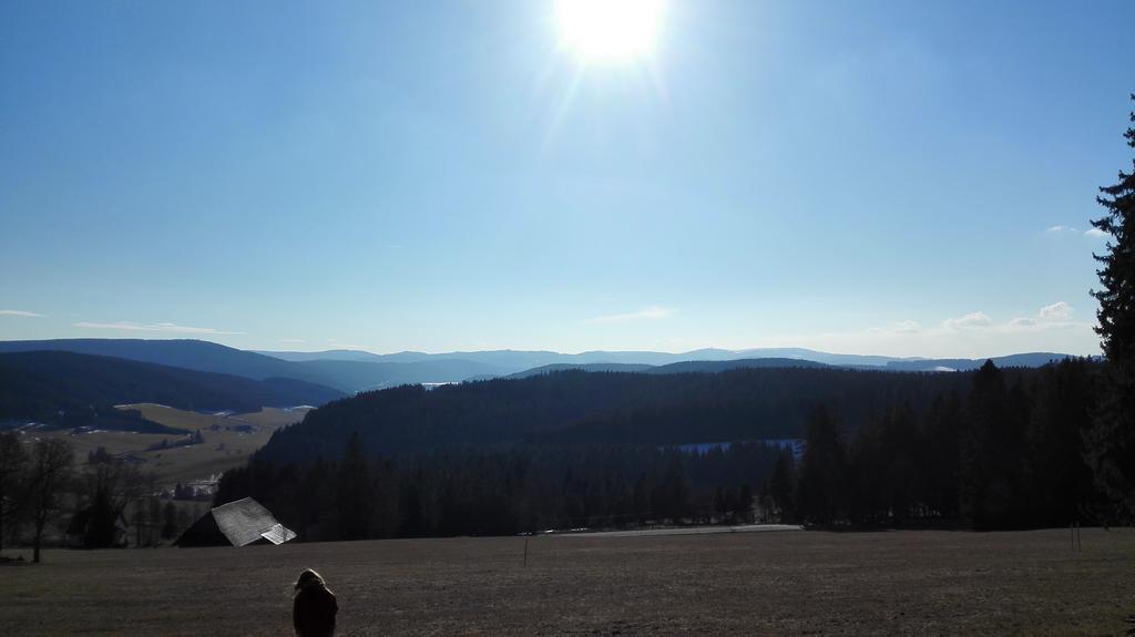 Pension Forsthaus Taele - Das Gaestehaus Vom Schwarzwaldgasthaus Salenhof ティティゼー・ノイシュタット エクステリア 写真