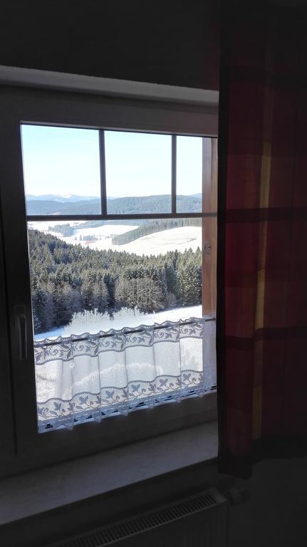Pension Forsthaus Taele - Das Gaestehaus Vom Schwarzwaldgasthaus Salenhof ティティゼー・ノイシュタット エクステリア 写真
