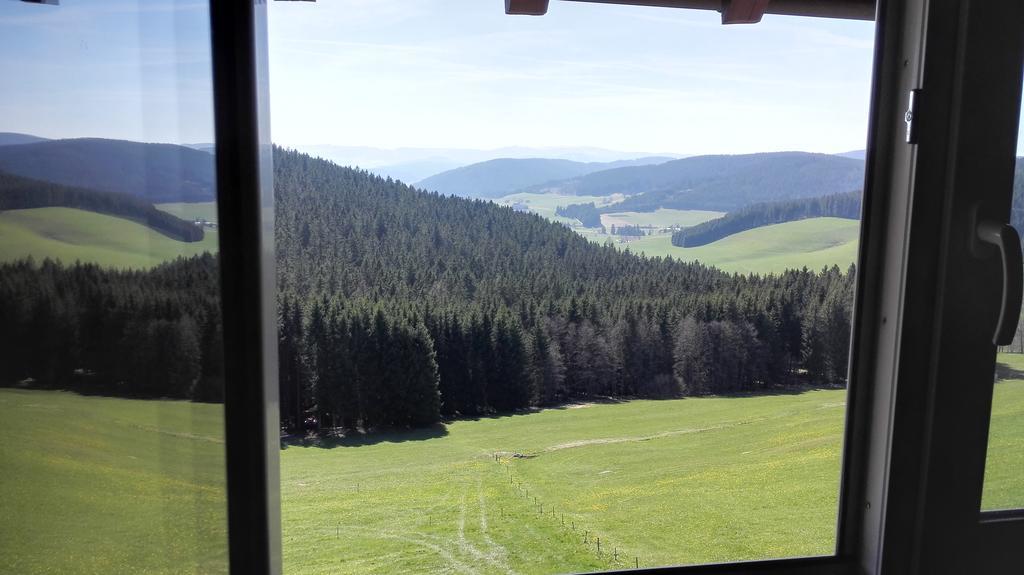 Pension Forsthaus Taele - Das Gaestehaus Vom Schwarzwaldgasthaus Salenhof ティティゼー・ノイシュタット エクステリア 写真