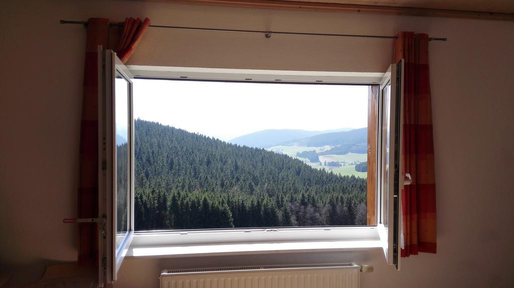 Pension Forsthaus Taele - Das Gaestehaus Vom Schwarzwaldgasthaus Salenhof ティティゼー・ノイシュタット エクステリア 写真