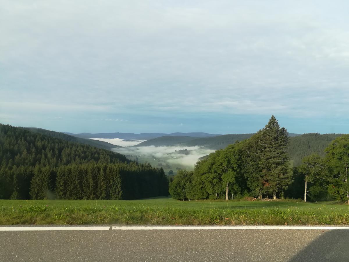 Pension Forsthaus Taele - Das Gaestehaus Vom Schwarzwaldgasthaus Salenhof ティティゼー・ノイシュタット エクステリア 写真