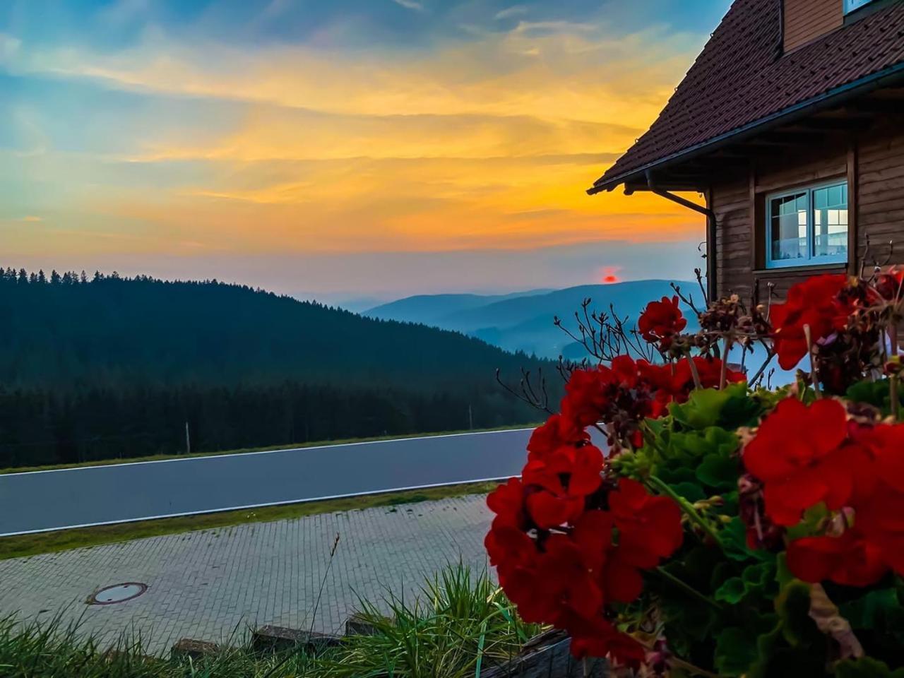 Pension Forsthaus Taele - Das Gaestehaus Vom Schwarzwaldgasthaus Salenhof ティティゼー・ノイシュタット エクステリア 写真